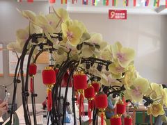 -土豆口腔(凤凰北总店)