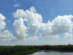 -宁波杭州湾国家湿地公园