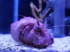 -太平洋海底世界