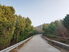 -红光山