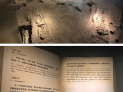 -侵华日军南京大屠杀遇难同胞纪念馆