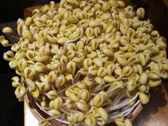 自生黄豆芽-周师兄大刀腰片火锅(洪崖洞旗舰店)
