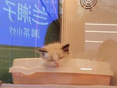 -万达广场(北京槐房店)