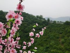 -铜川市金锁关石林