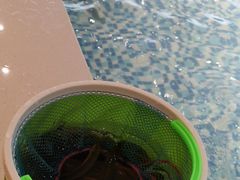-三亚湾红树林度假酒店美食街