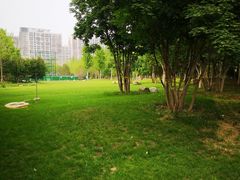 -回龙观体育文化公园