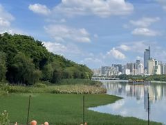 -南宁南湖公园