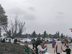 -洋县服务区-停车场