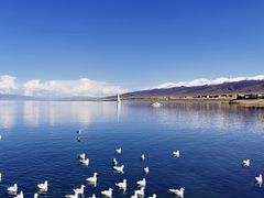 -青海湖国家重点风景名胜区
