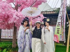 -嘉北郊野公园