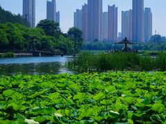 -前关湿地公园