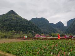 -靖西鹅泉风景区