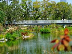 -上海植物园-4号门售票处