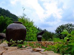 -看见远方·莫干遥远的山民宿