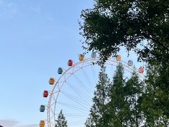 -上海野生动物园