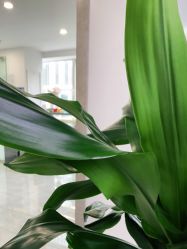 -变画·发型STUDIO