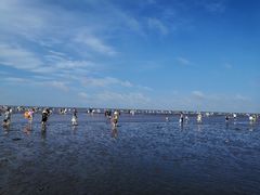 -启东黄金海滩景区