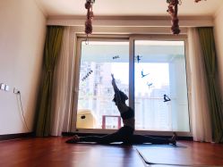 -Yvon yoga 瑜伽·精准体态管理中心