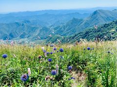 -白草畔自然风景区