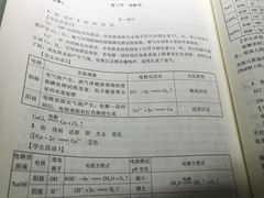 -广州市南武中学