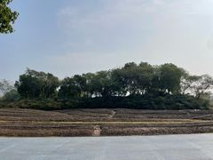 -春花秋色城市公园