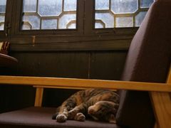 -猫的天空之城概念书店(杭州南宋御街店)