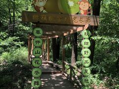 -大岭沟猕猴桃谷风景区
