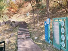 -北京十三陵国家森林公园蟒山景区