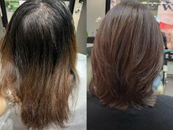 -时尚殿堂salon