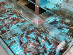 -亭下湖饭店(康岭店)