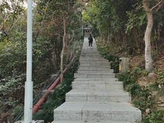 -小南山公园