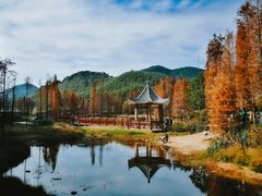 -广州市石门国家森林公园