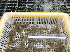 -毛哥小馆子(百井坊巷店)