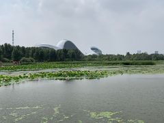 -哈尔滨大剧院