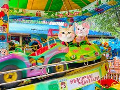 -晓港公园