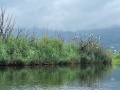 -大理洱源西湖景区