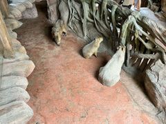 -长鹿旅游休博园