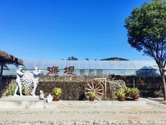 -海堤葡萄园中小学生研学基地