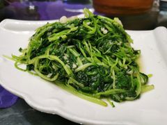 清炒鸡毛菜-95号酱骨·一块豆腐(展春园西路店)