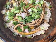 -蒸坊黄鳝饭(骏丰大厦店)