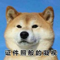 -TSO 慕尚·微潮派