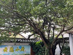 -云隐小厨·传统大理美食(复兴路店)