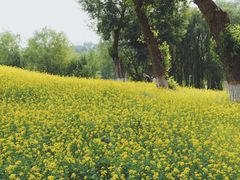 -长白岛森林公园