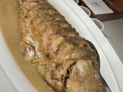 红烧黄河大鲤鱼-阿庄新豫菜(航海东路店)