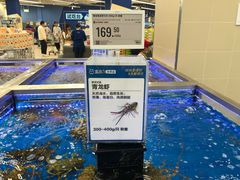 -盒马X会员店(上海森兰商都店)