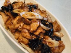-凯鸽酒楼(操场城店)