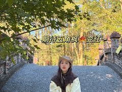 -田野绿世界