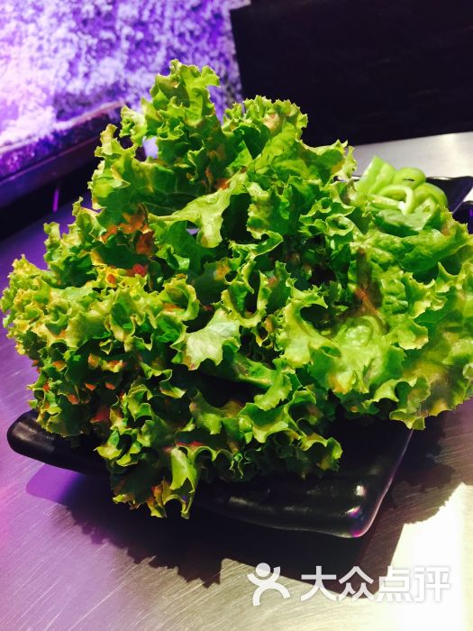 猿生态炭火烤肉生菜图片 - 第462张