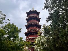 -云龙山