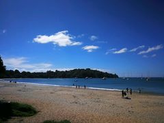 海滩-怀希基岛